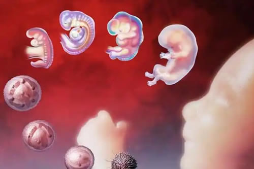 超度后的梦境验证：49日内婴灵状态的心理投射分析