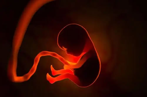 道教法师与婴灵沟通的”观想”技巧