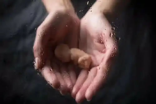 道教”慈悲”精神对婴灵超度的指导作用