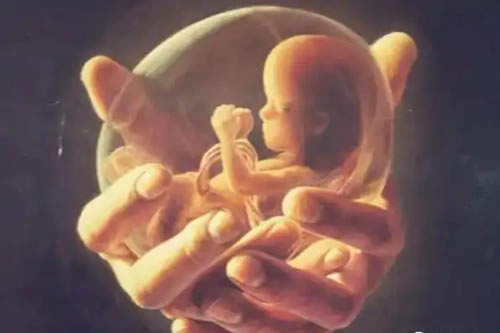 婴灵超度与身心健康:如何缓解愧疚与不安?