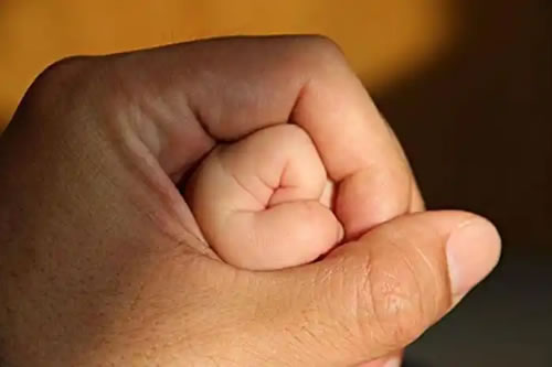 惊蛰万物醒，婴灵亦盼度：春日里的慈悲法事