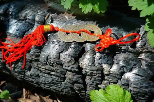 惊蛰万物醒，婴灵亦盼度：春日里的慈悲法事